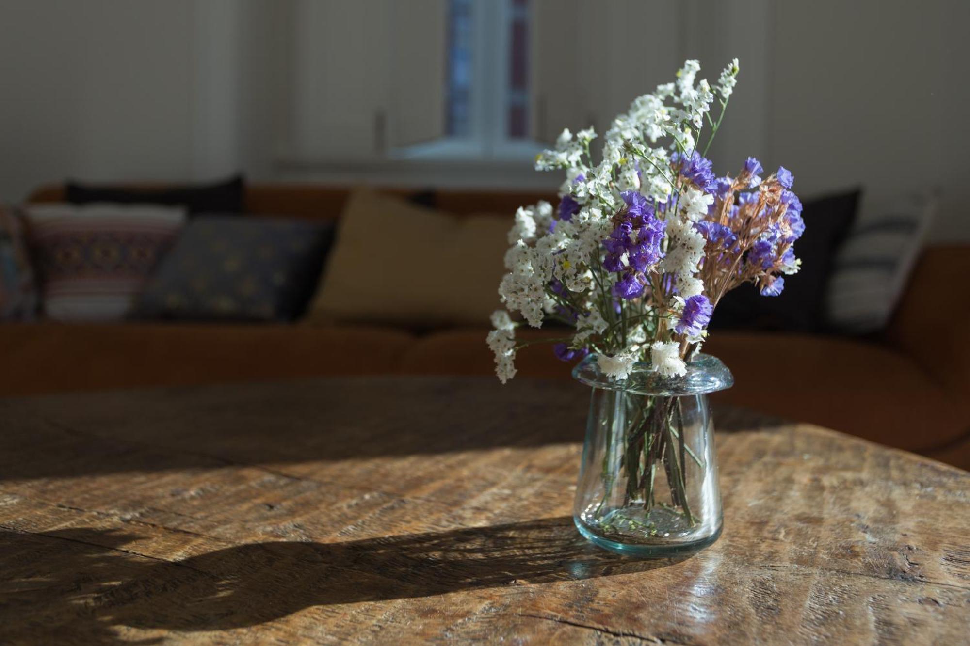 Vila Julieta Guesthouse Coimbra Dış mekan fotoğraf